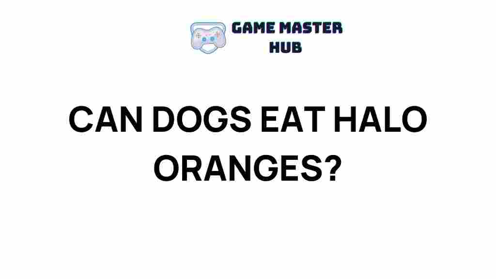 dog-safe-to-eat-halo-oranges