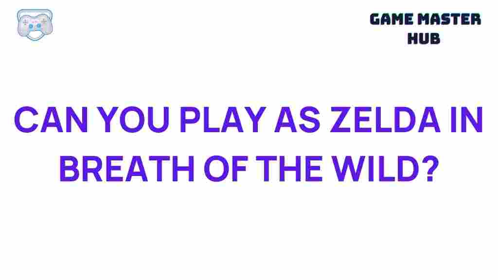 breath-of-the-wild-playable-character