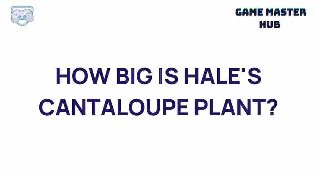 hales-cantaloupe-plant-size