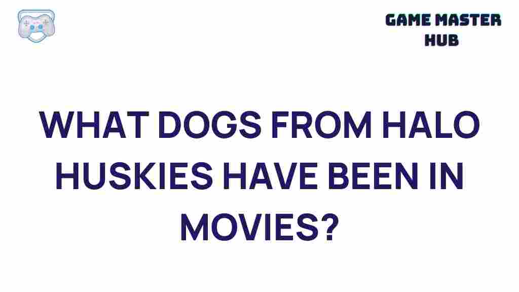 halo-huskies-hollywood-stars