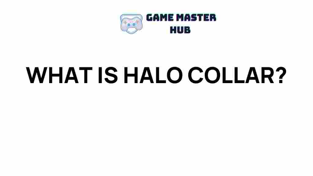 halo-collar-pet-safety